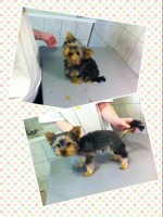 /album/negylabu-vendegeink-elotte-utana/a11099173-560895114051840-7608784053231802680-n-jpg/