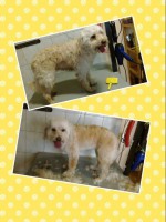 /album/negylabu-vendegeink-elotte-utana/a11134156-562924120515606-8146978437477860311-n-jpg/