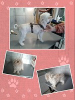 /album/negylabu-vendegeink-elotte-utana/a11143170-559384697536215-5982350442186721741-n-jpg/