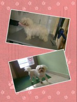 /album/negylabu-vendegeink-elotte-utana/a11149312-559404667534218-8384316466205169341-n-jpg/