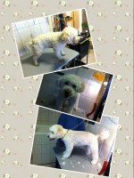 /album/negylabu-vendegeink-elotte-utana/a11188290-560894810718537-4897050414553207272-n-jpg/